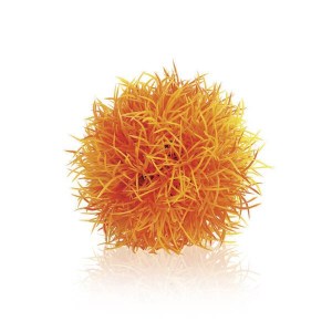 Aquatic-colour-ball-orange