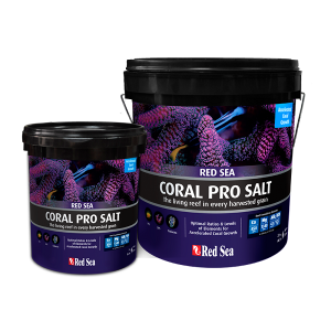 Coral-Pro-Salt-red-sea7