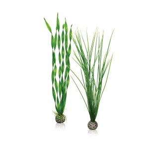 Easy-plant-set-L-green