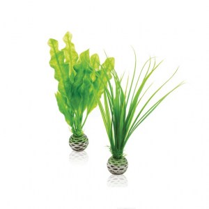 Easy-plant-set-s-green