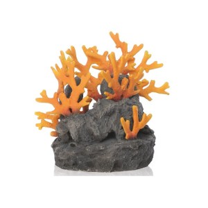 Lava-rock-with-fire-coral-ornament