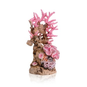 Reef-ornament-pink