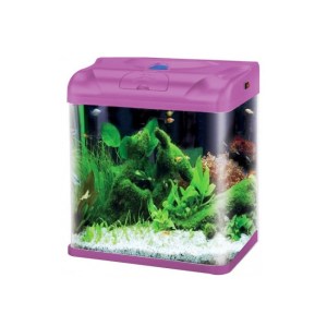 aquarium-rs-380b-purple8