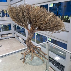 aquascape-ancient-tree-figure-20-25cm