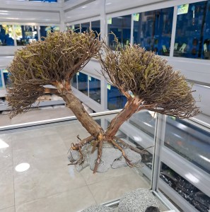 aquascape-double-tree-figure-L