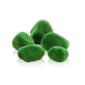 biorn-moss-pebbles