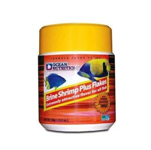 brine-shrimp-plus4
