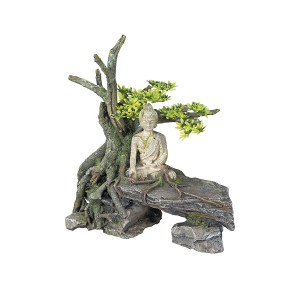 buddha-tree