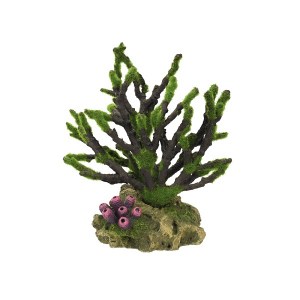 coral-with-moss