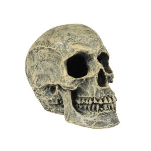 diakosmitiko-enydreiou-aquadella-skull-head