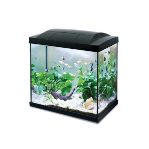enydreio-hailea-k-45-bluefish-aquariums