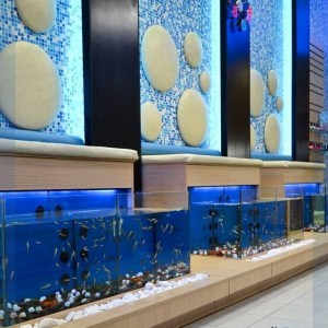 fishspa-bluefish-2