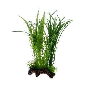 flora-root-i-30cm