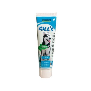 gill-s-toothpaste-mint-100gr