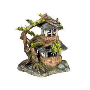 house-with-bonsai