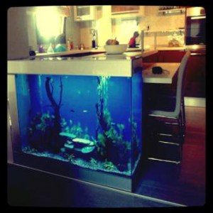 images/stories/virtuemart/product/enydreio-bluefish-kitchen