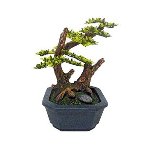japan-bonsai-vaso