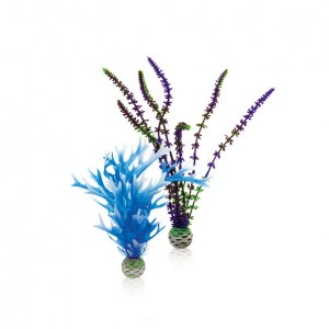 plant-set-blue-purple