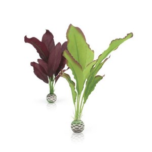 plant-set-green-purple-medium