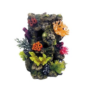 rock-with-corals