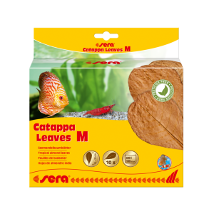 sera-catappa-leaves-M