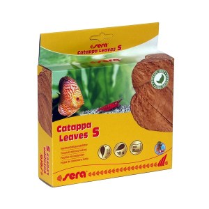 sera-catappa-leaves-s