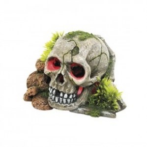 skull-with-plants