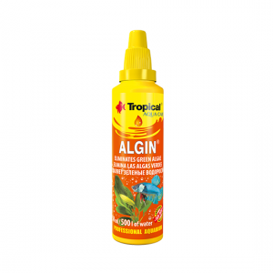 tropical-algin4