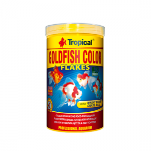 tropical-goldfish-color2