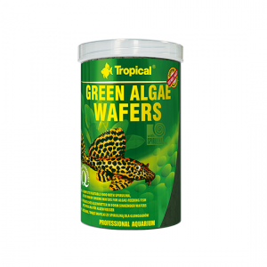 tropical-green-algae-wafers2
